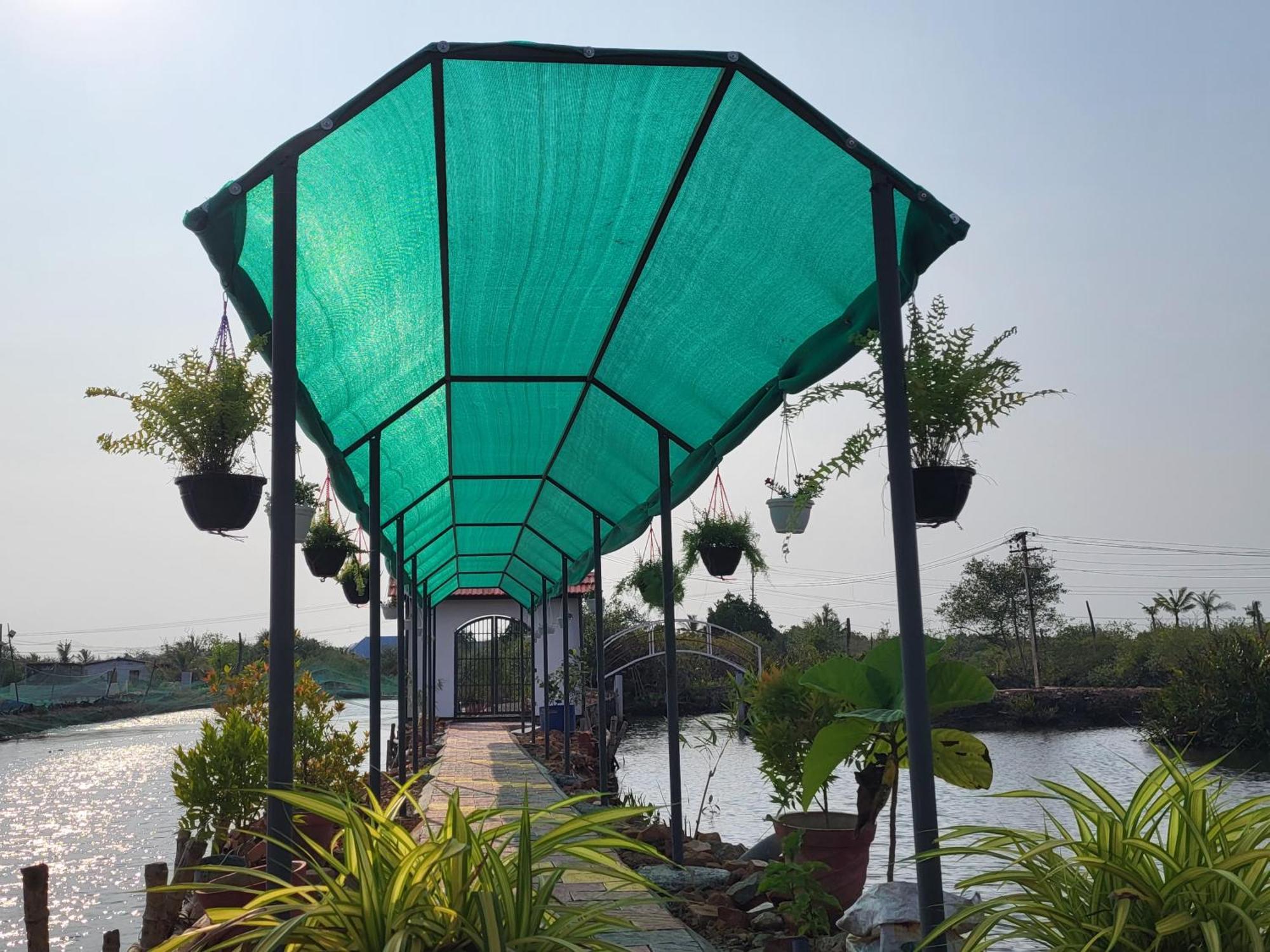 कैम्पिंग की जगह Bell Farms And